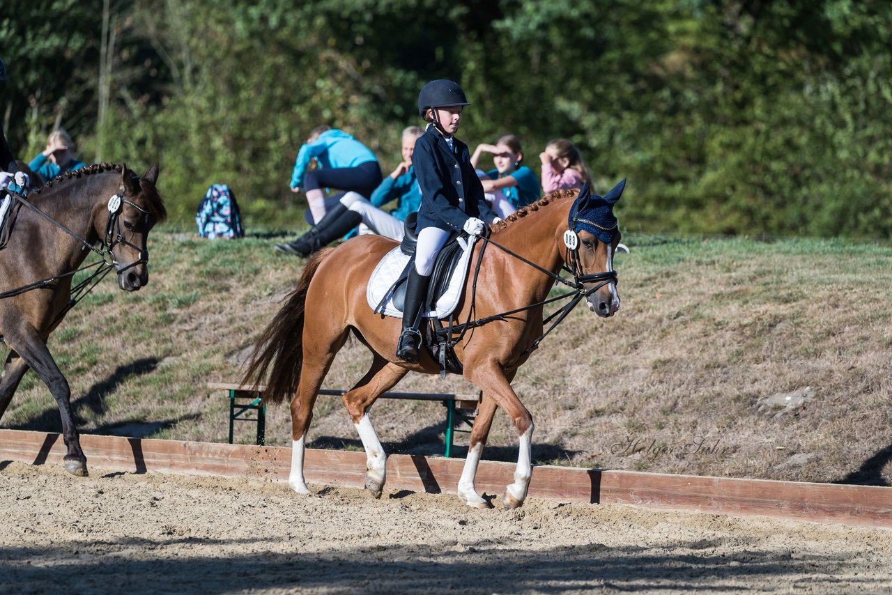 Bild 51 - Pony Akademie Turnier